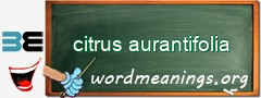 WordMeaning blackboard for citrus aurantifolia